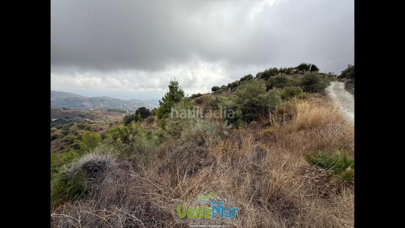 Foto ed295b11-c15b-4b5d-8078-b801c9b2f4f6. Rural plot in Jete