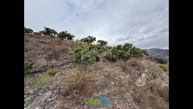 Foto 02b8f479-8d07-4a8d-8059-e5b1465678f4. Propriété dans Jete