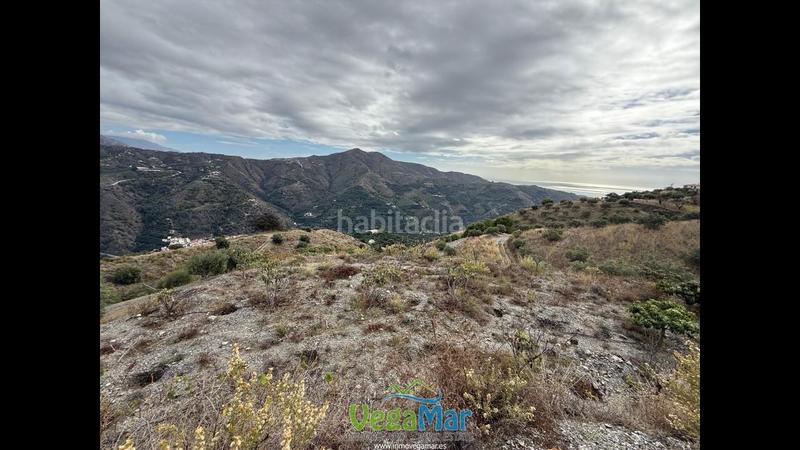 Foto 050ff5cd-f128-4cd9-953b-888d2f709146. Propriété dans Jete