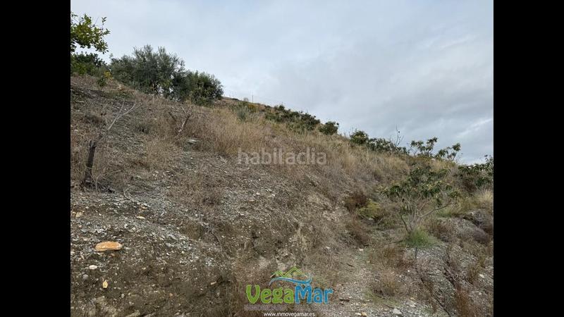 Foto 0a57b98b-f410-4e78-9392-4da20f0277db. Propriété dans Jete