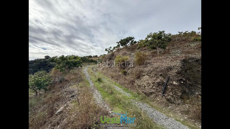 Foto 16e36b5d-710e-4eb1-951b-018bb72a2d4a. Propriété dans Jete