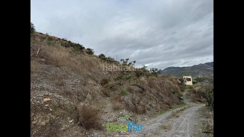 Foto 1ed6514d-f54a-481a-b8b2-1ff0b66af87f. Propriété dans Jete