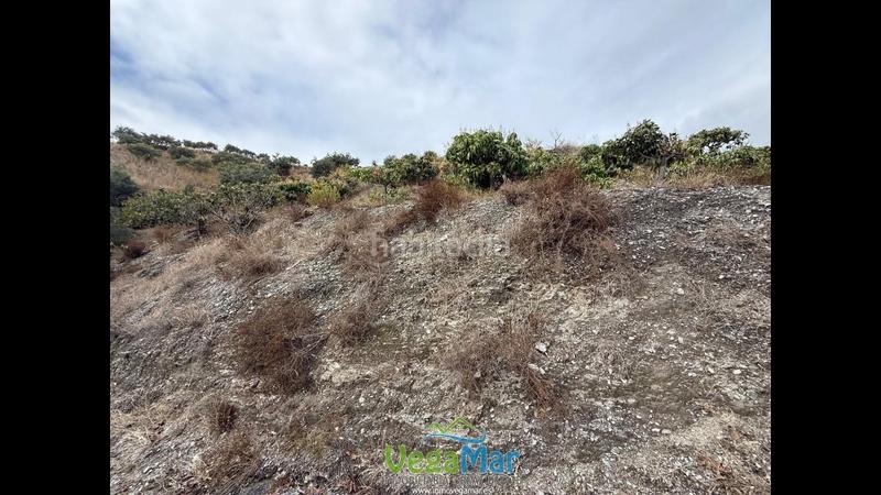 Foto 21b34b8b-8df6-442b-9e54-cf3a80131b0a. Propriété dans Jete