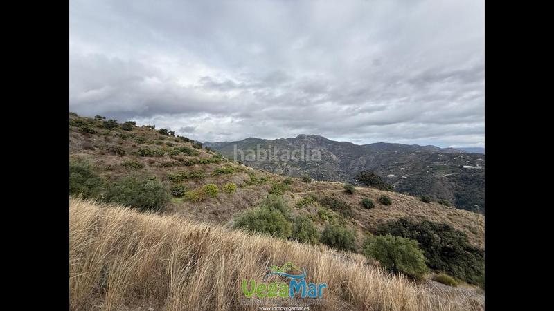 Foto 2cfe3803-6506-4d79-af1a-6526c4fbaef5. Propriété dans Jete