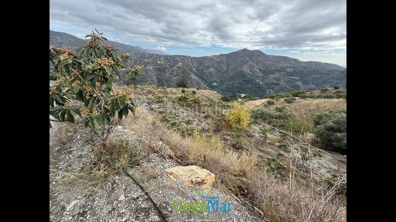 Foto 2e00a904-e971-4740-a767-69ab2180200a. Propriété dans Jete