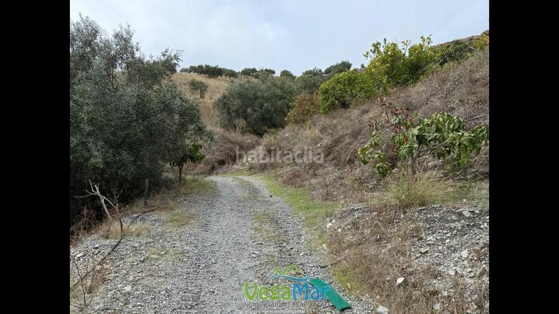 Foto 37d10e90-ec69-454a-b4c3-d42110b843e1. Propriété dans Jete