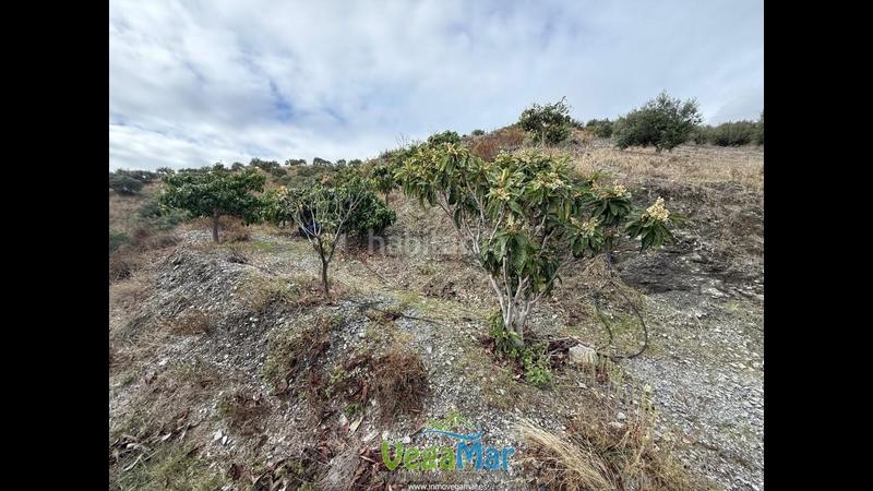 Foto 45668c12-37ee-4af3-8e53-4dc5da4d6eed. Propriété dans Jete