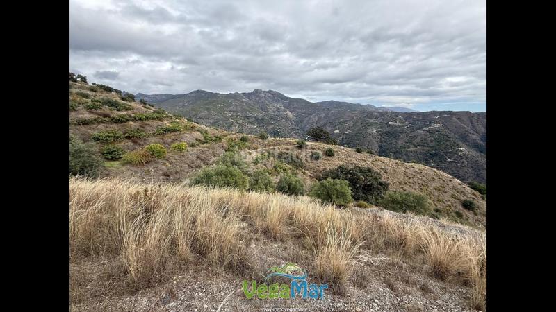 Foto 7e1894f1-14e2-4c88-8905-17497cfaad3c. Propriété dans Jete