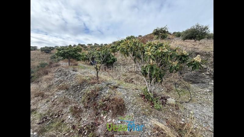 Foto 8a732e5b-e522-48d9-896d-3fca264091e7. Propriété dans Jete