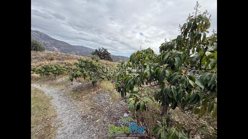 Foto 955bbad2-fe35-44b9-a4ce-d7a8242f50a1. Propriété dans Jete