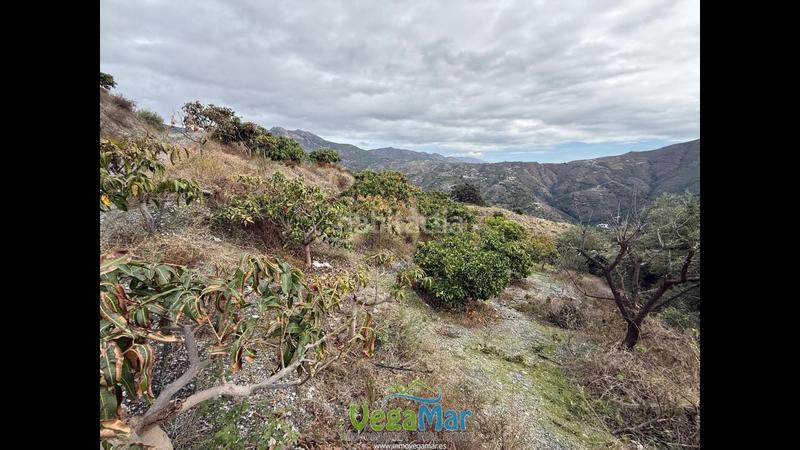 Foto a3b61409-c049-439a-a08f-ac20b4429951. Propriété dans Jete