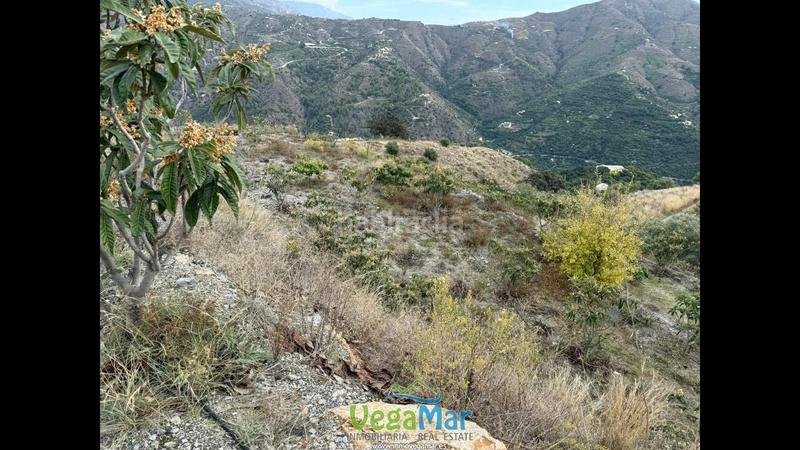 Foto b7993349-f091-46e2-a2d9-0e807a4b0869. Propriété dans Jete