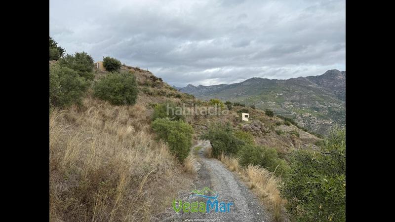 Foto d3389b70-5e09-458e-b468-c608be0be83d. Propriété dans Jete