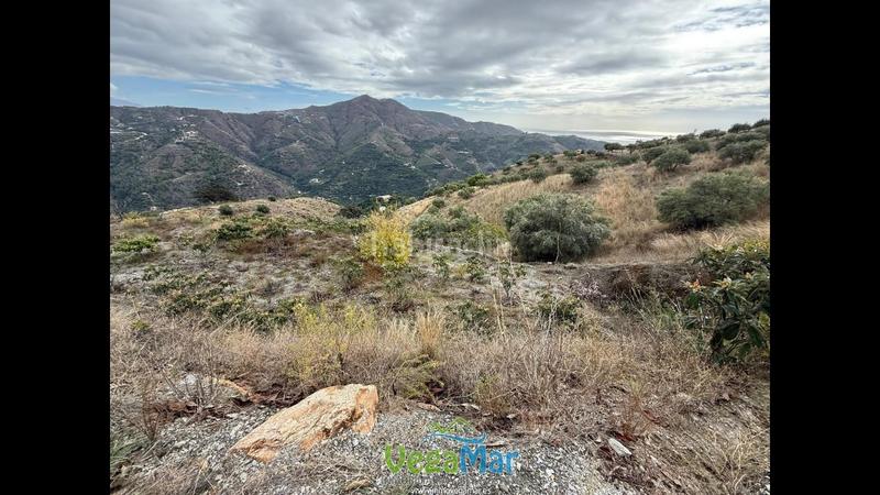 Foto d3603619-5a1c-4103-94e1-0482ee490e2f. Propriété dans Jete