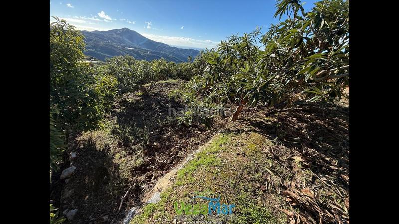 Foto 2685079d-5fd6-4140-b064-84df4d8db735. Masia amb piscina a Otívar