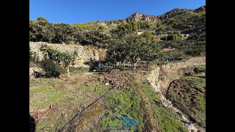 Foto 456faf37-edce-4556-b97d-d2979c210371. Masia amb piscina a Otívar