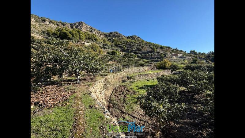 Foto 54c411a2-8bdf-482e-936a-b32932e2816a. Masia amb piscina a Otívar