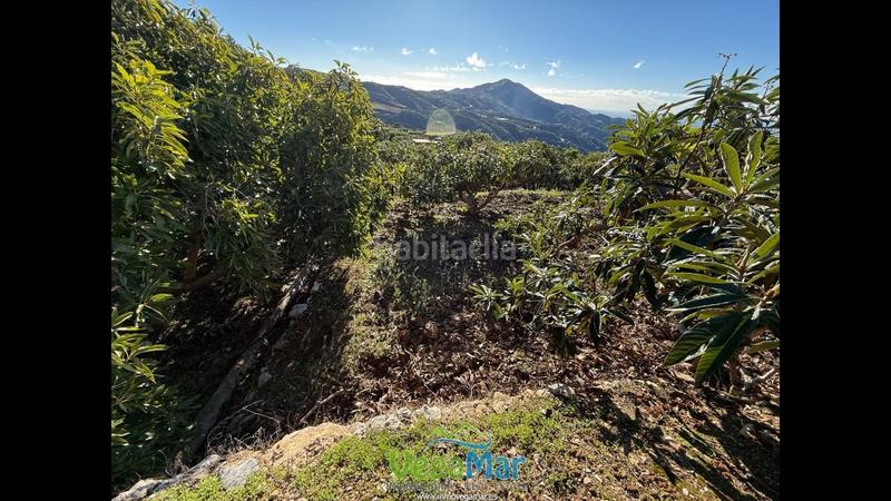 Foto c998ac10-a46a-4268-89ee-b4fcf963e8aa. Masia amb piscina a Otívar