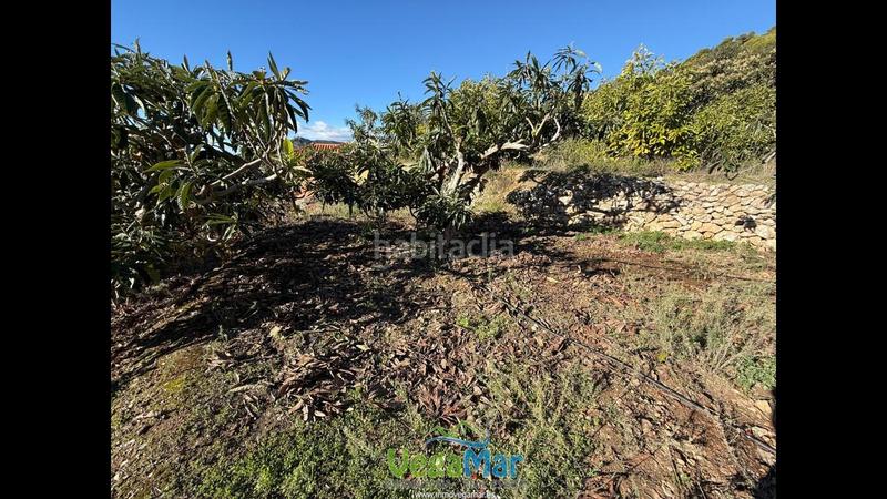 Foto e67d2aa8-3293-4b01-833c-28153d4c27d3. Masia amb piscina a Otívar