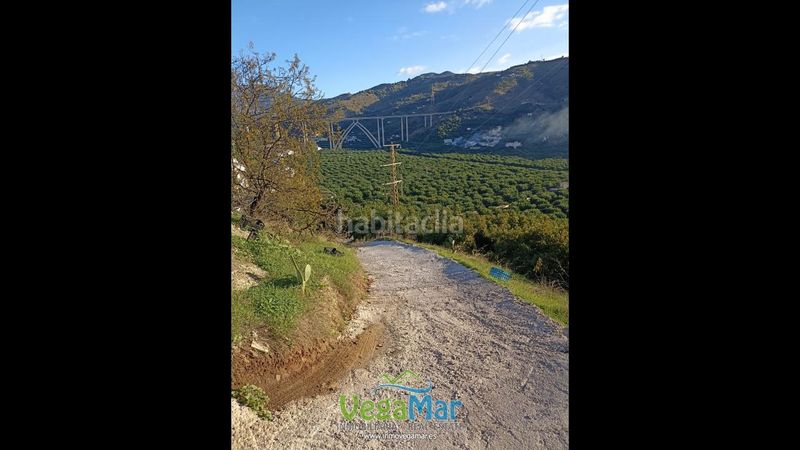 Foto 56526c15-d292-409a-a677-3d30daa6707f. Finca rústica en Almuñecar centro Almuñécar