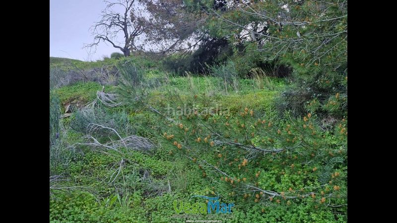 Foto e08c7f97-b233-49ec-b9cf-5ee755601007. Terreno residencial en El Rescate - Río Seco Almuñécar