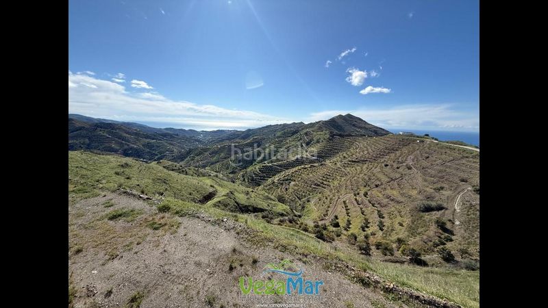 Foto 16e5f473-4584-467d-8a8e-639a50d8a43c. Mas dans El Rescate - Río Seco Almuñécar