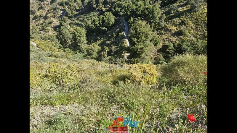 Foto 47edc586-d524-4560-a923-a81d2f2ef8ed. Fondo rustico in Jete