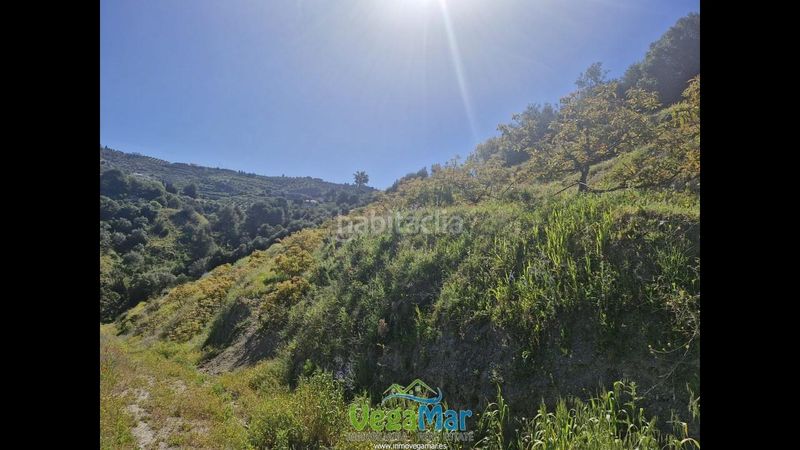 Foto 1ab97a10-58e4-4765-84d7-76990842068d. Finca rústica en Jete