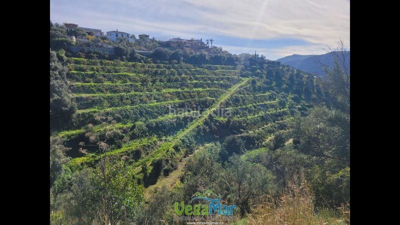 Foto 2ada9885-2921-46f6-99d2-3e956152542d. Finca rústica en Jete