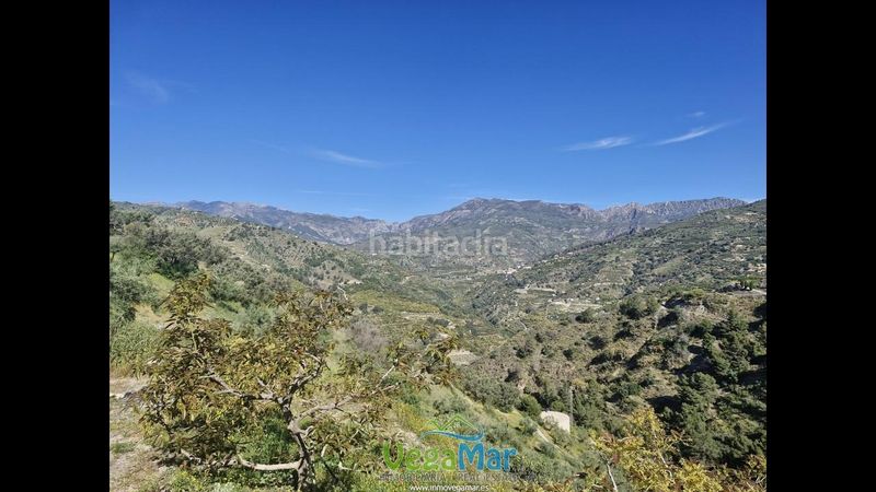 Foto 53e122dc-2785-4361-86bb-0cecff38a6e8. Finca rústica en Jete