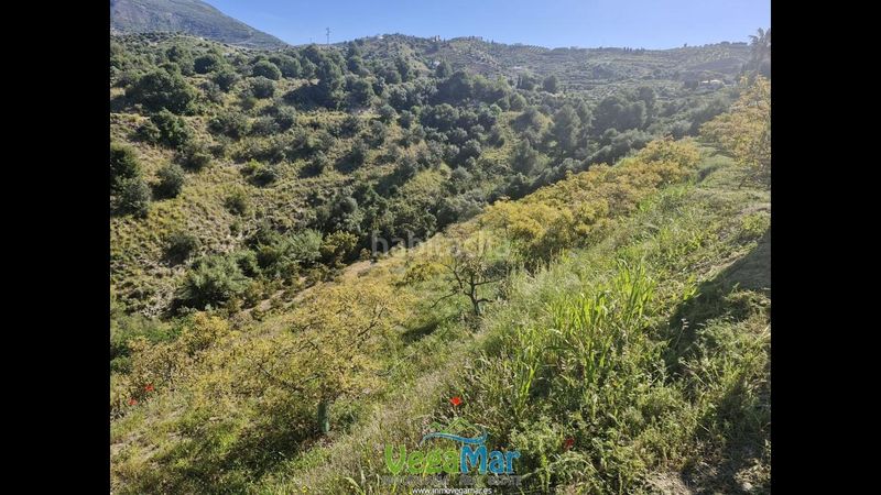 Foto 7c92ca3f-ae4b-43cc-aa2a-72c6ddfc73c4. Finca rústica en Jete