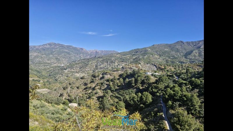 Foto aae2e077-9cd7-498e-9624-53d993adf6a3. Finca rústica en Jete
