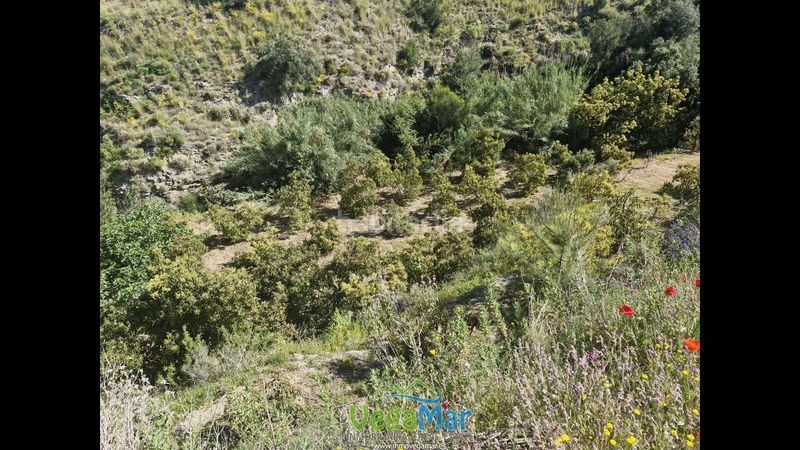 Foto ed473569-2e4f-4d1f-b951-daa5e68716ad. Finca rústica en Jete