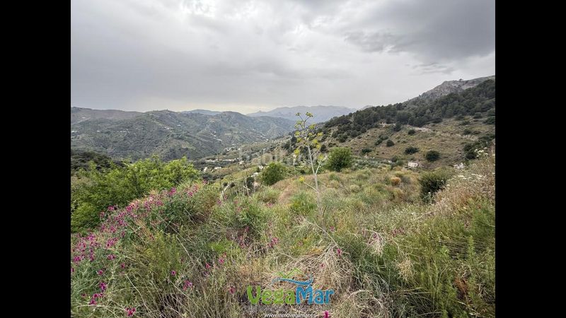 Foto 48508186-9379-4df4-9c41-66d5e2a5a519. Finca rústica a Torrecuevas - Lomas del Gato Almuñécar