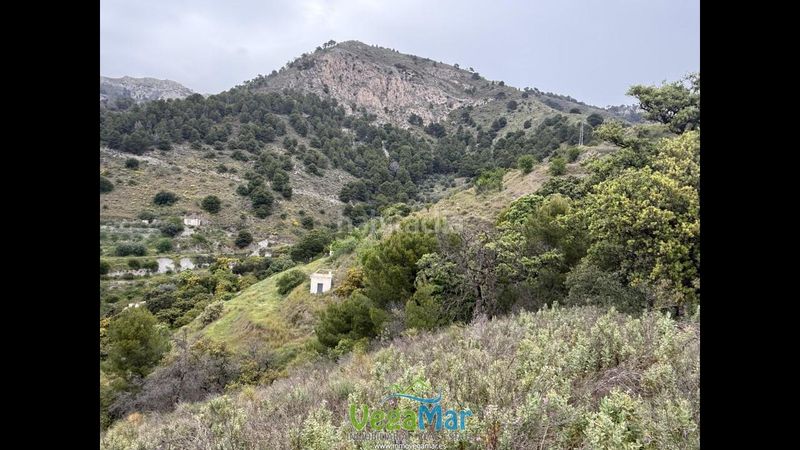 Foto 65d1e308-5ee1-4570-b5b9-52fdeacbb136. Finca rústica en Torrecuevas - Lomas del Gato Almuñécar