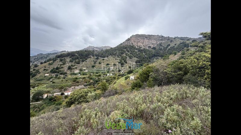 Foto b0562ab4-e10b-4e98-9d60-2254fc3c34e4. Finca rústica en Torrecuevas - Lomas del Gato Almuñécar