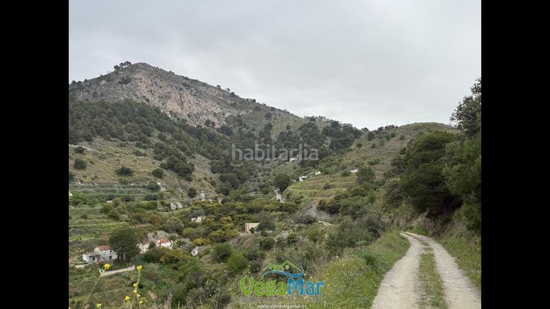 Foto bf8d5737-9be5-4a55-b0cb-31378c03722a. Finca rústica en Torrecuevas - Lomas del Gato Almuñécar