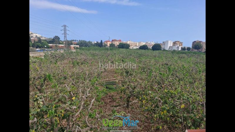 Foto ad33a58a-c638-4f1b-9609-daa958051983. Casa a Almuñecar centro Almuñécar