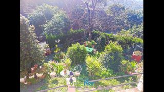 Casale  Los cocales
