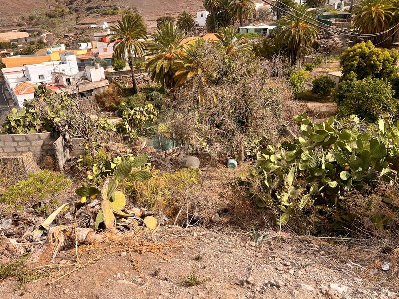 Foto b1704b31-9776-4096-88b4-622424685c4a. Rural plot in San Nicolás de Tolentino