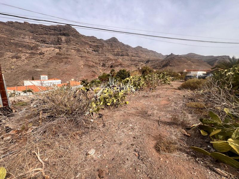 Foto ebcaaf0d-667f-46ff-bc13-efe72c742353. Rural plot in San Nicolás de Tolentino