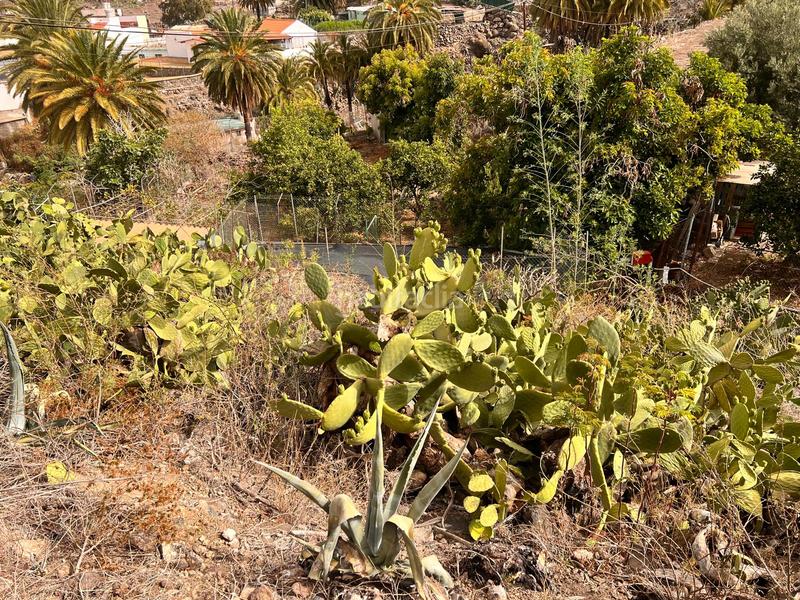 Foto f296ab63-6f9b-41b7-88e9-a4e3e79b8977. Rural plot in San Nicolás de Tolentino