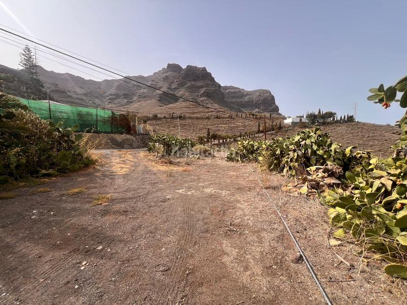Foto fd43969e-2b52-40ca-afc3-8d45a2bb4001. Rural plot in San Nicolás de Tolentino