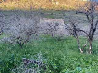 Residential Plot in San Nicolás de Tolentino