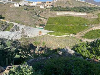Terreny residencial a San Nicolás de Tolentino