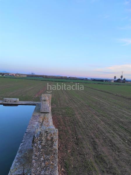 Foto 13a0c330-681d-4c23-9e49-443bdaf3a88c. Propriété dans Sa Pobla