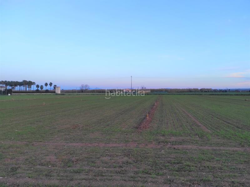 Foto b7371b17-8f19-4d83-a4e2-6b5f86904ba5. Propriété dans Sa Pobla