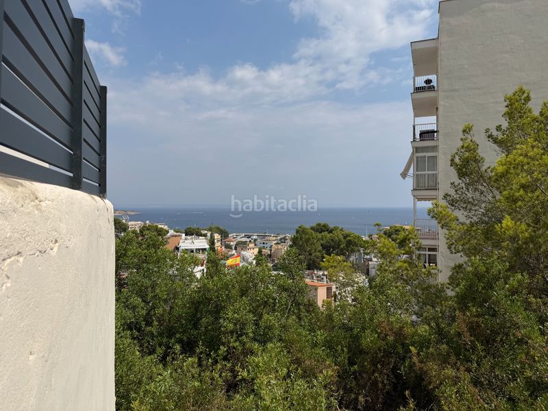 Foto f0cc3b3e-29f3-46bc-8483-3248daa88b31. Pis amb xemeneia aparcament piscina a Sant Agustí Palma de Mallorca