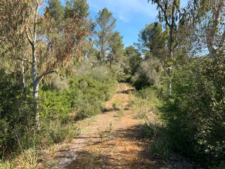 Rural plot in N/a. Finca rustica de 51.000m2