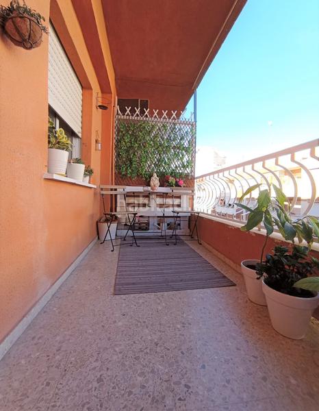 Foto 1caf1771-f76c-43a2-8202-66f0e4ec5b7f. Alquiler apartamento piso de lujo con ascensor de 3 habitaciones y dos baños y terraza en Gandia
